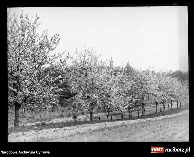 Zdjęcie w galerii na portalu naszraciborz.pl: Pietrowice Wielkie i Krowiarki na starej fotografii  wiadomości z regionu