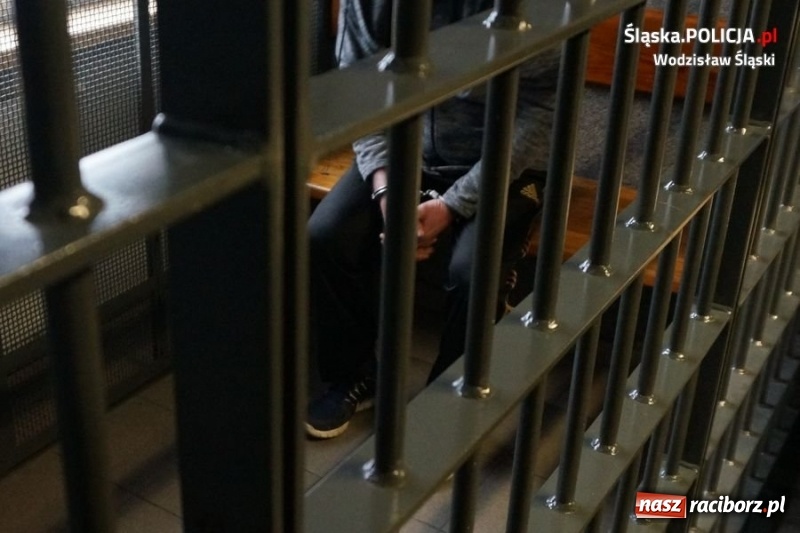 Zdjęcie w galerii na portalu naszraciborz.pl: Zatrzymano podejrzanego o potrącenie policjanta. Ukrywał się w pomieszczeniu gospodarczym  wiadomości z regionu