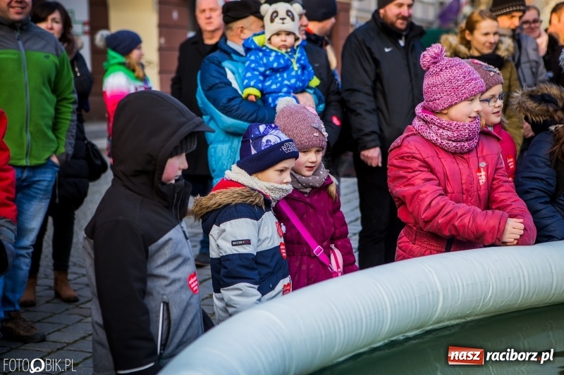 Zdjęcie w galerii na portalu naszraciborz.pl: Rekord raciborskiej Orkiestry. Oficjalne podsumowanie  wiadomości z regionu