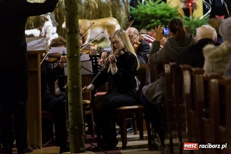 Zdjęcie w galerii na portalu naszraciborz.pl: XXVII koncert kolęd i pastorałek w kościele pw. NSPJ w Raciborzu wiadomości z regionu