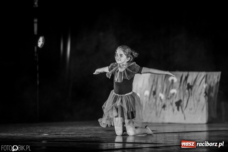 Zdjęcie w galerii na portalu naszraciborz.pl: Rekord w Raciborzu. Ponad 100 tys. zł z kwesty i licytacji Wielkiej Orkiestry Świątecznej Pomocy wiadomości z regionu