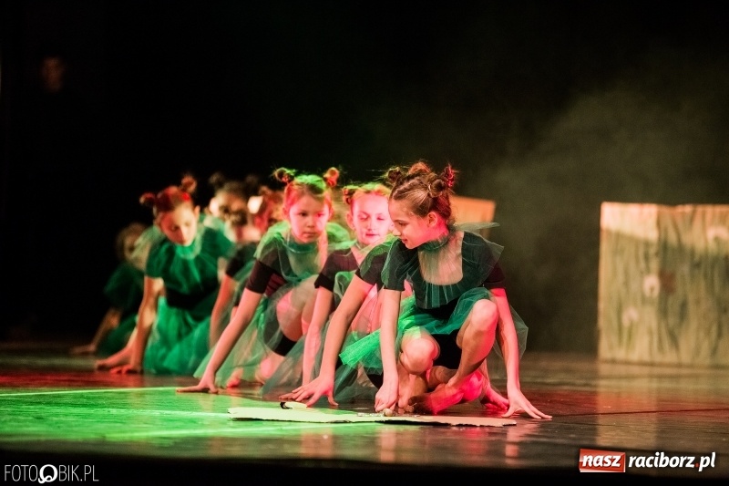 Zdjęcie w galerii na portalu naszraciborz.pl: Rekord w Raciborzu. Ponad 100 tys. zł z kwesty i licytacji Wielkiej Orkiestry Świątecznej Pomocy wiadomości z regionu