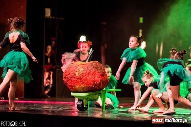 Zdjęcie w galerii na portalu naszraciborz.pl: Rekord w Raciborzu. Ponad 100 tys. zł z kwesty i licytacji Wielkiej Orkiestry Świątecznej Pomocy wiadomości z regionu