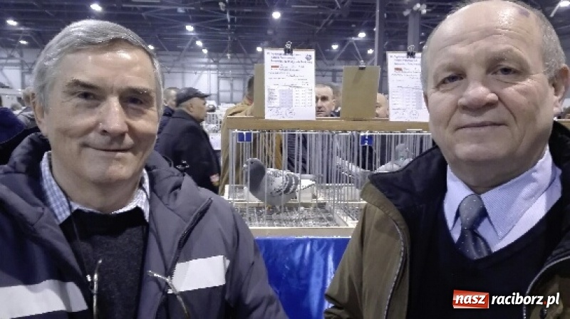 Zdjęcie w galerii na portalu naszraciborz.pl: Ogólnopolski sukces raciborskich hodowców gołębi pocztowych wiadomości z regionu