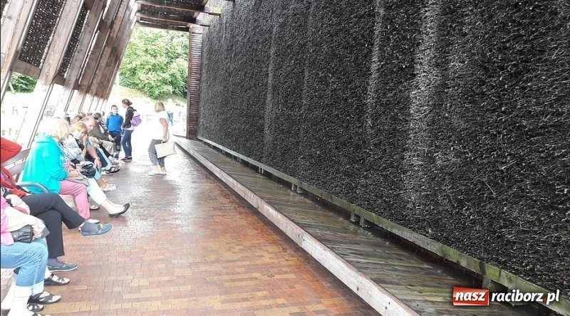 Zdjęcie w galerii na portalu naszraciborz.pl: Studenci UTW z Nędzy nie próżnowali! wiadomości z regionu