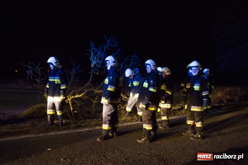Zdjęcie w galerii na portalu naszraciborz.pl: Dachowanie BMW na trasie Lekartów-Cyprzanów. Kierowca w szpitalu wiadomości z regionu