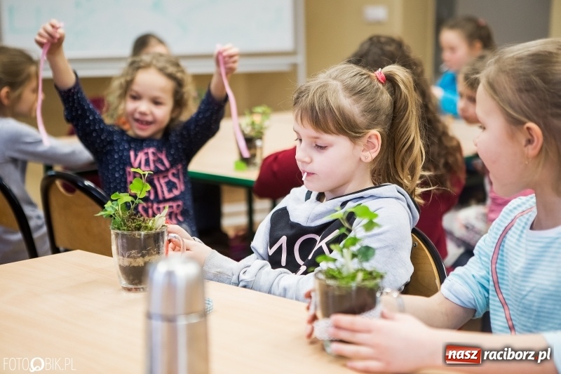 Zdjęcie w galerii na portalu naszraciborz.pl: Dzieci z SP 18 wspólnie z uczniami CKZiU nr 1 przygotowały upominki dla babci i dziadka wiadomości z regionu