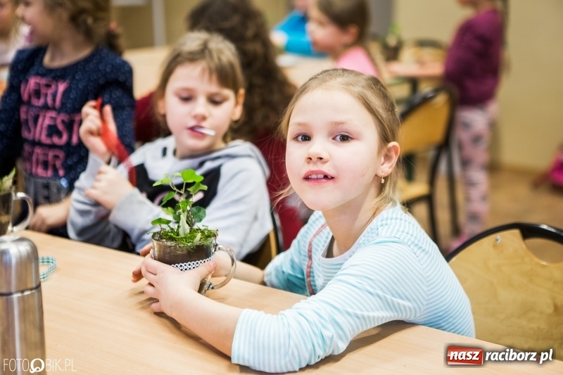 Zdjęcie w galerii na portalu naszraciborz.pl: Dzieci z SP 18 wspólnie z uczniami CKZiU nr 1 przygotowały upominki dla babci i dziadka wiadomości z regionu