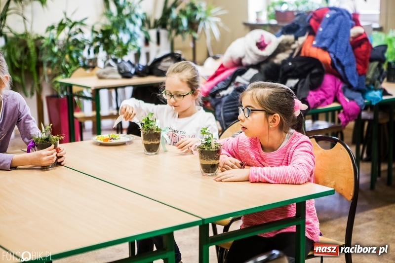 Zdjęcie w galerii na portalu naszraciborz.pl: Dzieci z SP 18 wspólnie z uczniami CKZiU nr 1 przygotowały upominki dla babci i dziadka wiadomości z regionu
