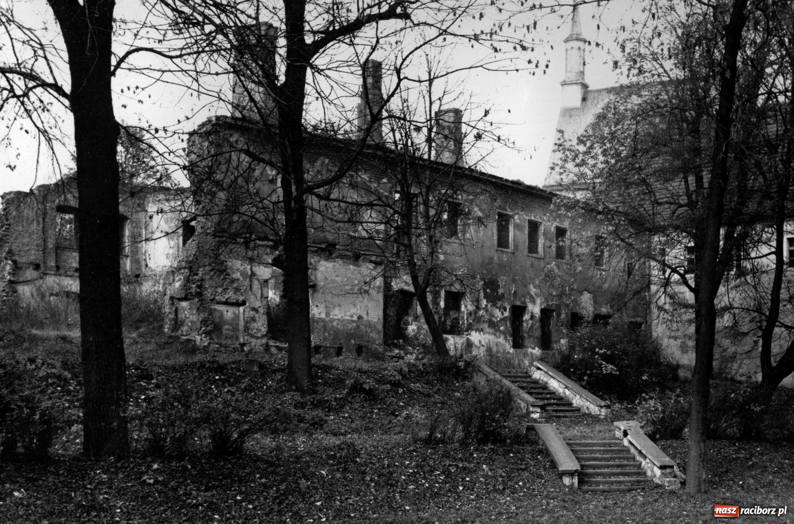 Zdjęcie w galerii na portalu naszraciborz.pl: Miasto szuka pomysłu na podzamcze. Jak ma wyglądać skwer księcia Mieszka Plątonogiego? wiadomości z regionu