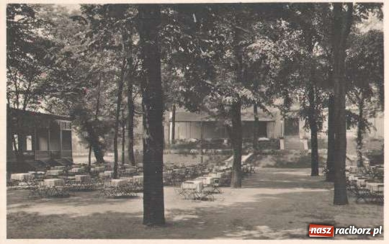 Zdjęcie w galerii na portalu naszraciborz.pl: Miasto szuka pomysłu na podzamcze. Jak ma wyglądać skwer księcia Mieszka Plątonogiego? wiadomości z regionu