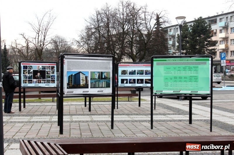 Zdjęcie w galerii na portalu naszraciborz.pl: Ratusz chwali się osiągnięciami w plenerze. Galeria zdjęć na Skwerze Pieczki  wiadomości z regionu