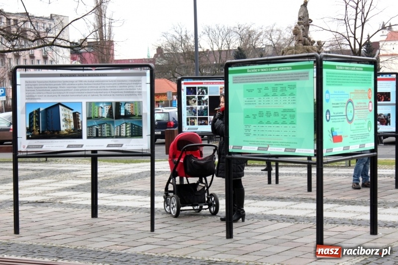 Zdjęcie w galerii na portalu naszraciborz.pl: Ratusz chwali się osiągnięciami w plenerze. Galeria zdjęć na Skwerze Pieczki  wiadomości z regionu