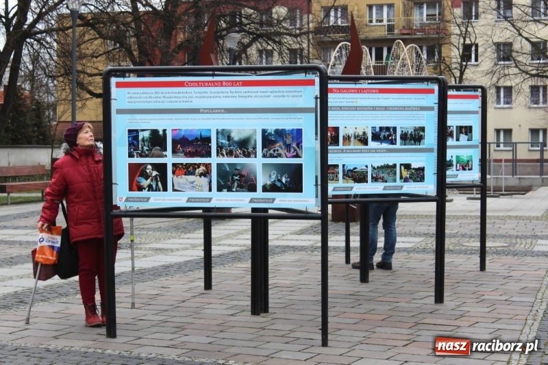 Zdjęcie w galerii na portalu naszraciborz.pl: Ratusz chwali się osiągnięciami w plenerze. Galeria zdjęć na Skwerze Pieczki  wiadomości z regionu