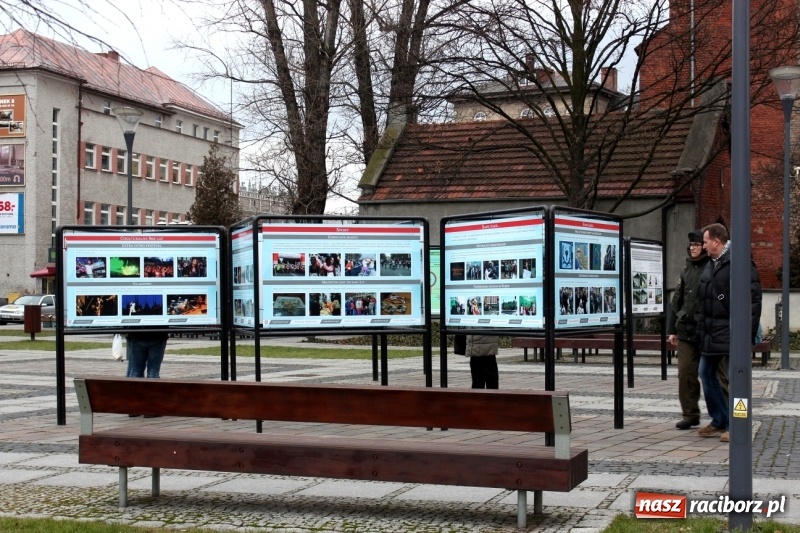 Zdjęcie w galerii na portalu naszraciborz.pl: Ratusz chwali się osiągnięciami w plenerze. Galeria zdjęć na Skwerze Pieczki  wiadomości z regionu