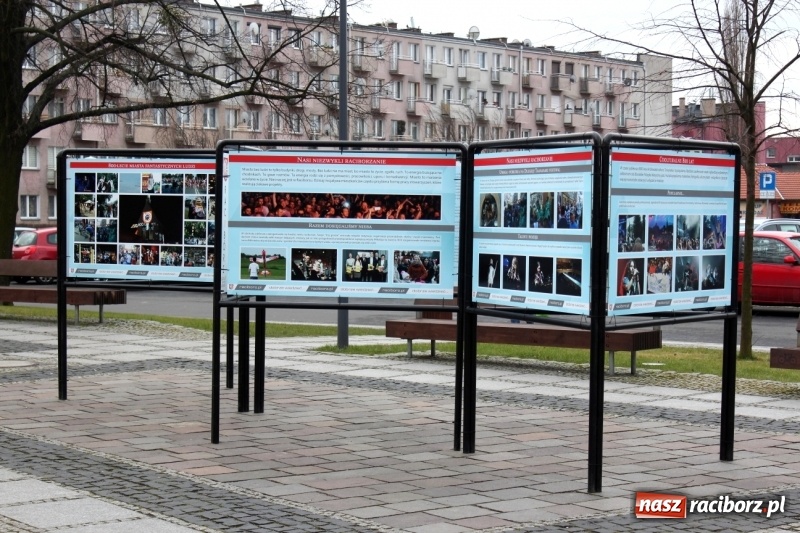 Zdjęcie w galerii na portalu naszraciborz.pl: Ratusz chwali się osiągnięciami w plenerze. Galeria zdjęć na Skwerze Pieczki  wiadomości z regionu