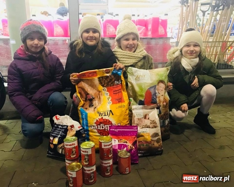 Zdjęcie w galerii na portalu naszraciborz.pl: Jezuskowi na chwałę, zwierzętom w potrzebie wiadomości z regionu