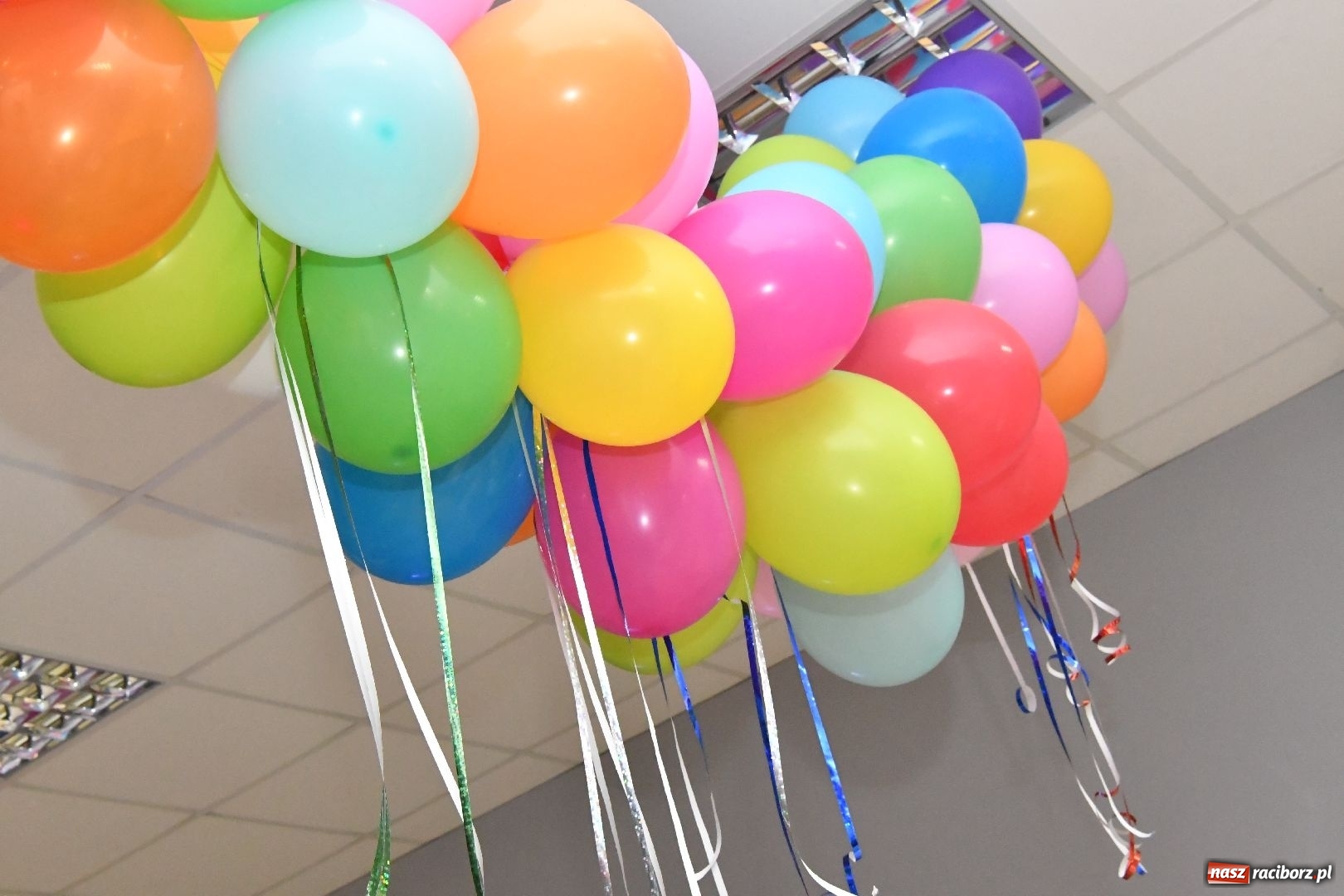 Zdjęcie w galerii na portalu naszraciborz.pl: Akademia Fitness w Raciborzu ma już pięć lat wiadomości z regionu