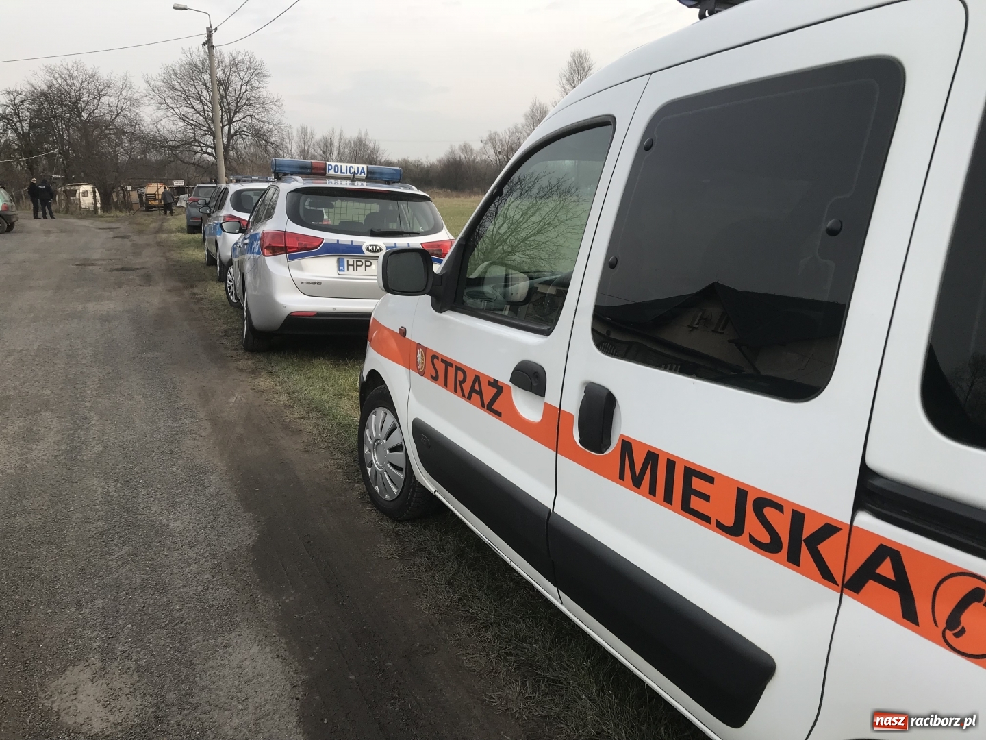 Zdjęcie w galerii na portalu naszraciborz.pl: Ponad trzydzieści owczarków w asyście policji zabrano z hodowli na Ostrogu  wiadomości z regionu