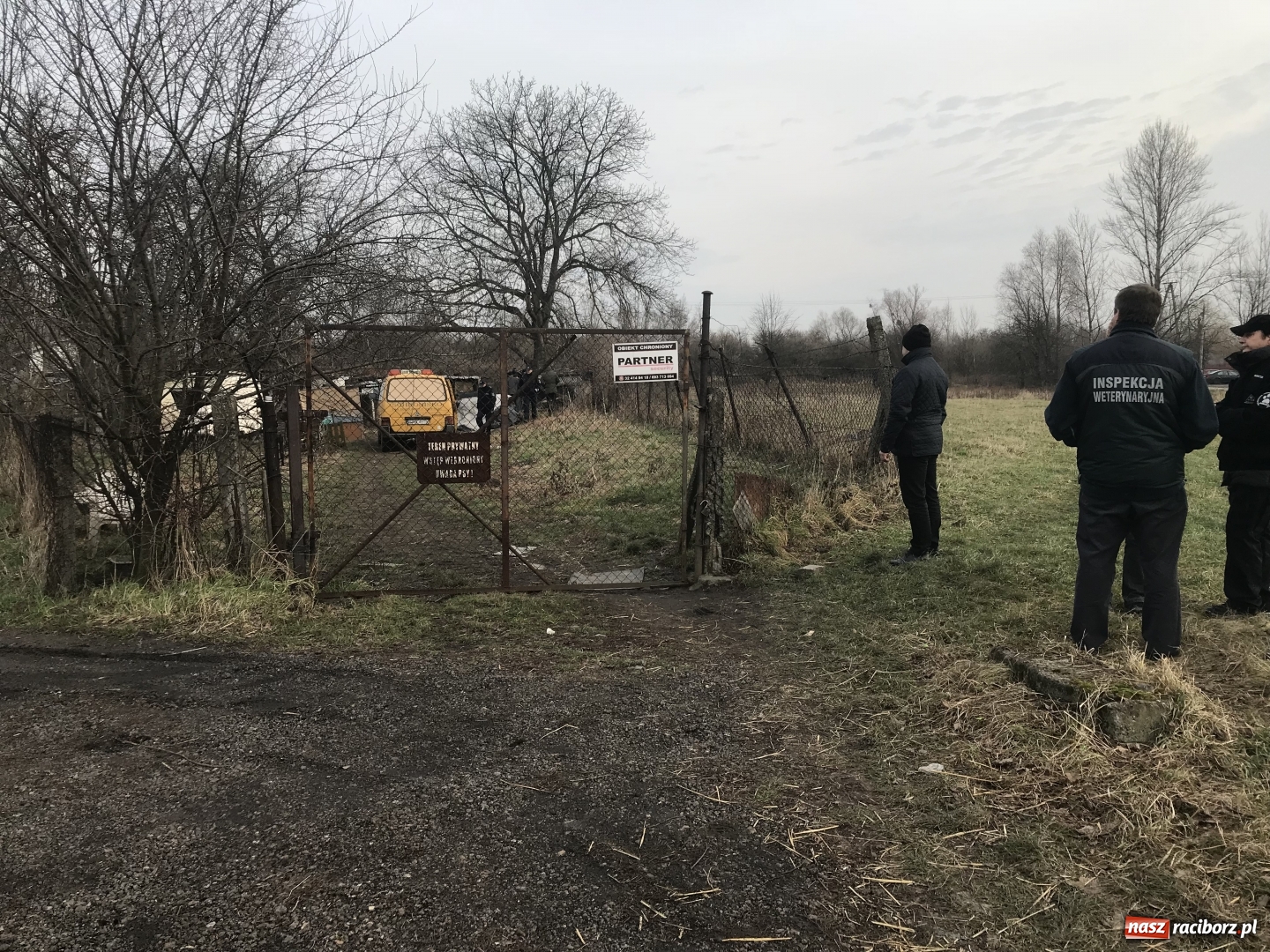 Zdjęcie w galerii na portalu naszraciborz.pl: Ponad trzydzieści owczarków w asyście policji zabrano z hodowli na Ostrogu  wiadomości z regionu