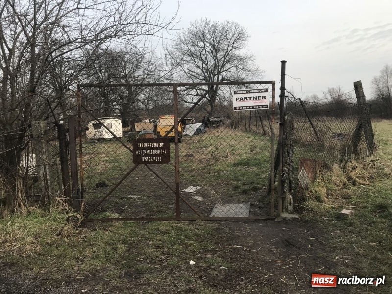 Zdjęcie w galerii na portalu naszraciborz.pl: Ponad trzydzieści owczarków w asyście policji zabrano z hodowli na Ostrogu  wiadomości z regionu