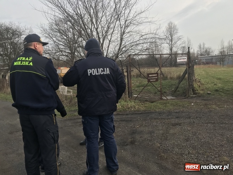 Zdjęcie w galerii na portalu naszraciborz.pl: Ponad trzydzieści owczarków w asyście policji zabrano z hodowli na Ostrogu  wiadomości z regionu