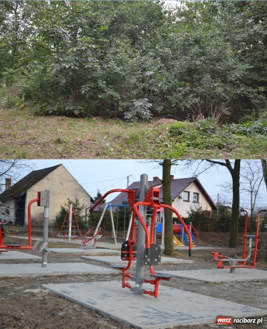 Zdjęcie w galerii na portalu naszraciborz.pl: Nowy plac zabaw i siłownia w rudzkich lasach  wiadomości z regionu