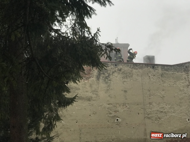 Zdjęcie w galerii na portalu naszraciborz.pl: Pożar na Końcu Świata. Strażacy oszacowali straty i podali przypuszczalną przyczynę pojawienia się ognia wiadomości z regionu