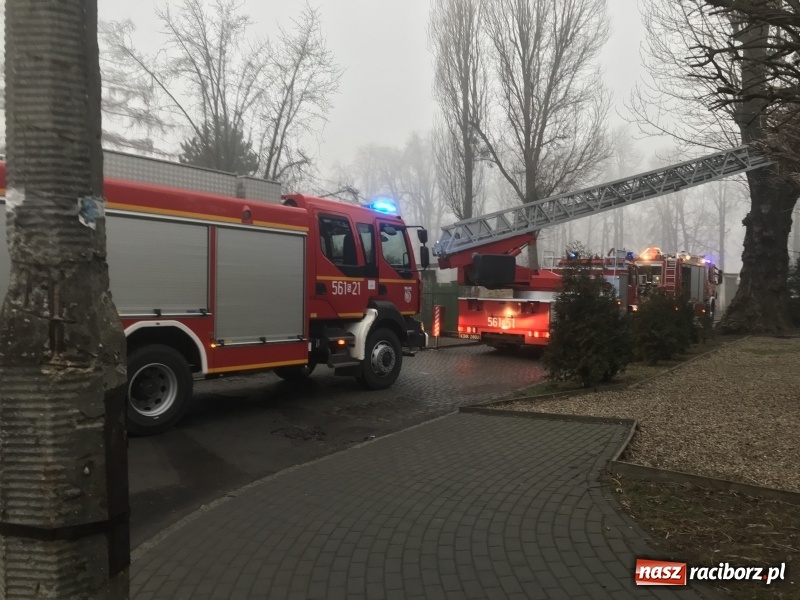 Zdjęcie w galerii na portalu naszraciborz.pl: Pożar na Końcu Świata. Strażacy oszacowali straty i podali przypuszczalną przyczynę pojawienia się ognia wiadomości z regionu