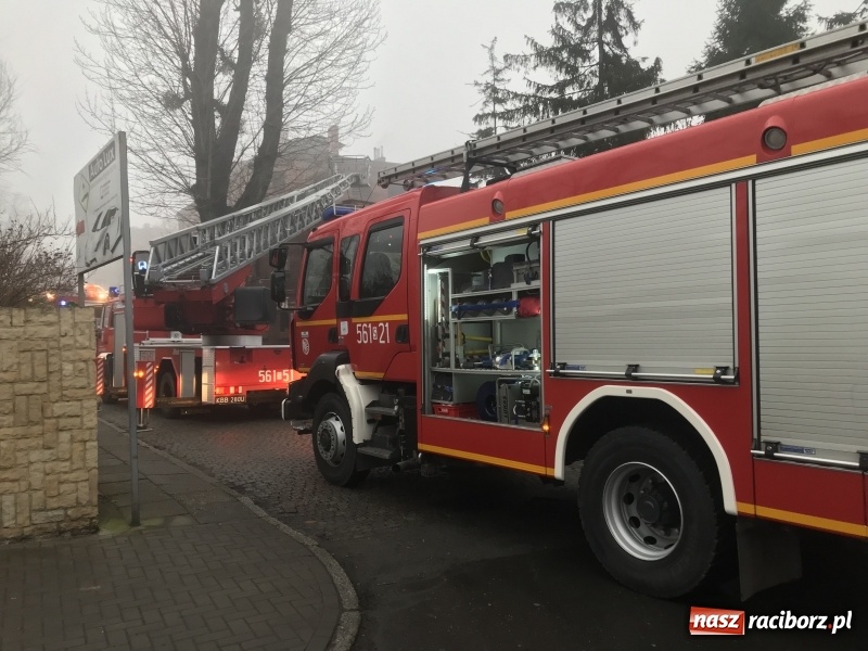 Zdjęcie w galerii na portalu naszraciborz.pl: Pożar na Końcu Świata. Strażacy oszacowali straty i podali przypuszczalną przyczynę pojawienia się ognia wiadomości z regionu