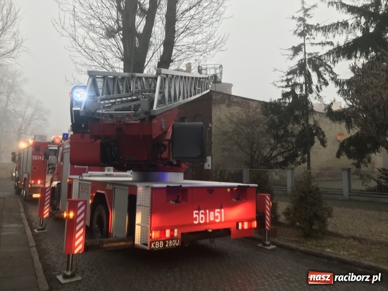 Zdjęcie w galerii na portalu naszraciborz.pl: Pożar na Końcu Świata. Strażacy oszacowali straty i podali przypuszczalną przyczynę pojawienia się ognia wiadomości z regionu