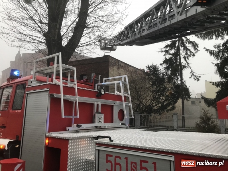 Zdjęcie w galerii na portalu naszraciborz.pl: Pożar na Końcu Świata. Strażacy oszacowali straty i podali przypuszczalną przyczynę pojawienia się ognia wiadomości z regionu