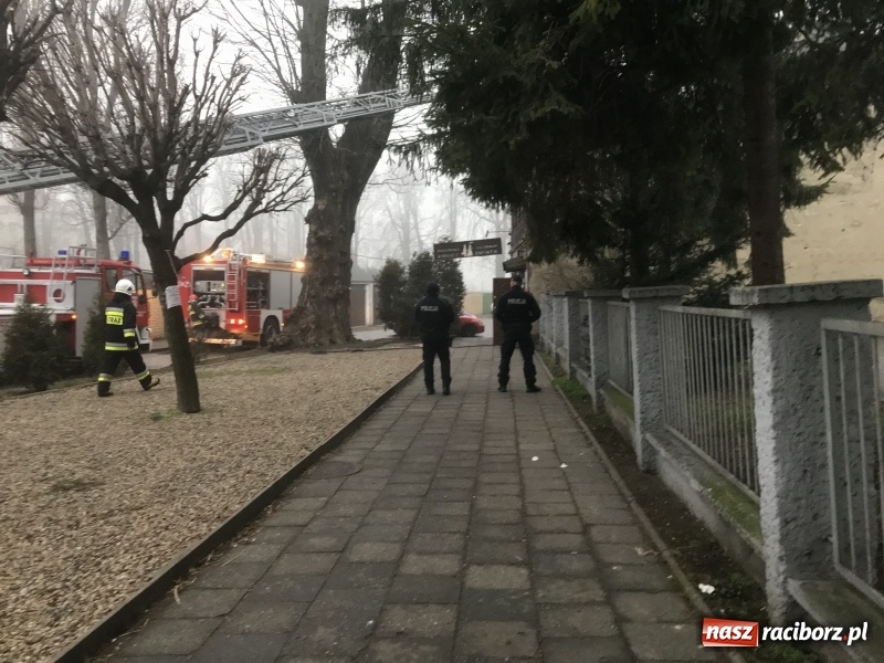 Zdjęcie w galerii na portalu naszraciborz.pl: Pożar na Końcu Świata. Strażacy oszacowali straty i podali przypuszczalną przyczynę pojawienia się ognia wiadomości z regionu