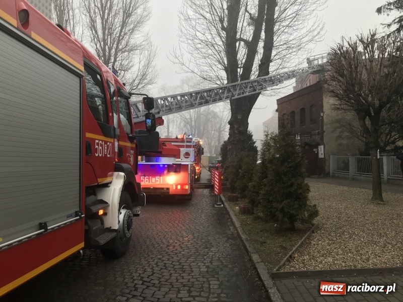 Zdjęcie w galerii na portalu naszraciborz.pl: Pożar na Końcu Świata. Strażacy oszacowali straty i podali przypuszczalną przyczynę pojawienia się ognia wiadomości z regionu