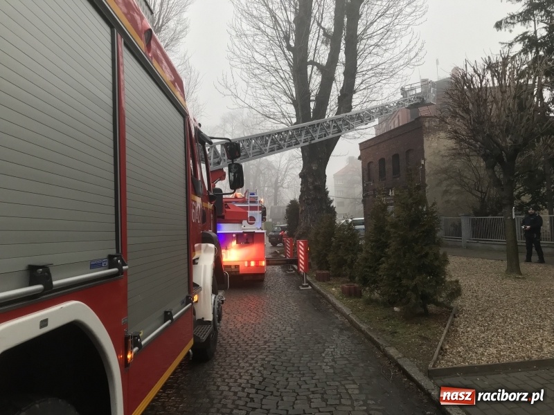 Zdjęcie w galerii na portalu naszraciborz.pl: Pożar na Końcu Świata. Strażacy oszacowali straty i podali przypuszczalną przyczynę pojawienia się ognia wiadomości z regionu