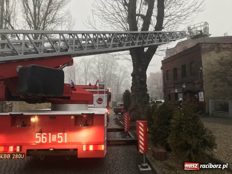 Zdjęcie w galerii na portalu naszraciborz.pl: Pożar na Końcu Świata. Strażacy oszacowali straty i podali przypuszczalną przyczynę pojawienia się ognia wiadomości z regionu