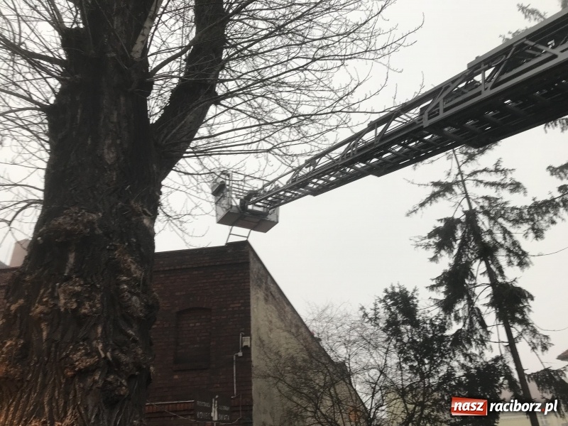 Zdjęcie w galerii na portalu naszraciborz.pl: Pożar na Końcu Świata. Strażacy oszacowali straty i podali przypuszczalną przyczynę pojawienia się ognia wiadomości z regionu