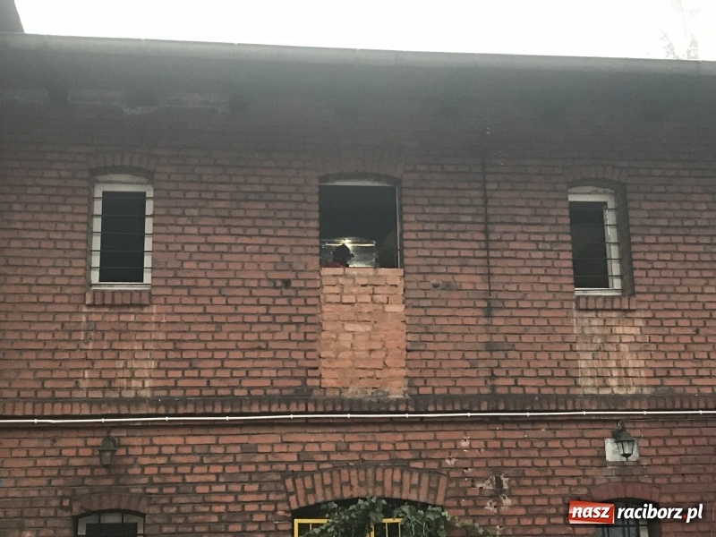 Zdjęcie w galerii na portalu naszraciborz.pl: Pożar na Końcu Świata. Strażacy oszacowali straty i podali przypuszczalną przyczynę pojawienia się ognia wiadomości z regionu