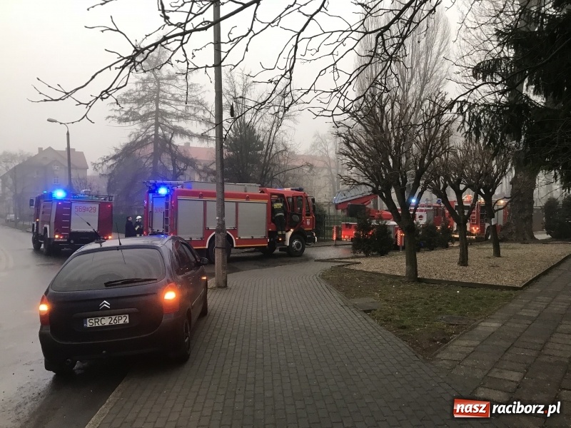 Zdjęcie w galerii na portalu naszraciborz.pl: Pożar na Końcu Świata. Strażacy oszacowali straty i podali przypuszczalną przyczynę pojawienia się ognia wiadomości z regionu