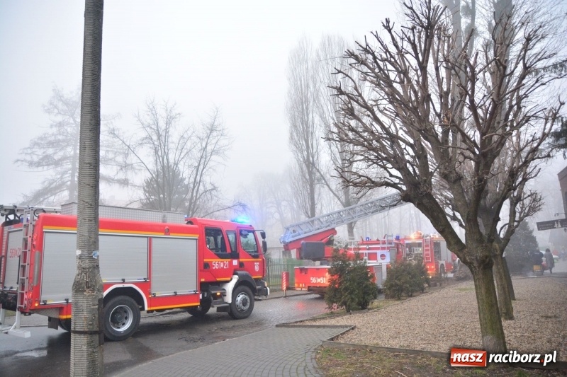 Zdjęcie w galerii na portalu naszraciborz.pl: Pożar na Końcu Świata. Strażacy oszacowali straty i podali przypuszczalną przyczynę pojawienia się ognia wiadomości z regionu