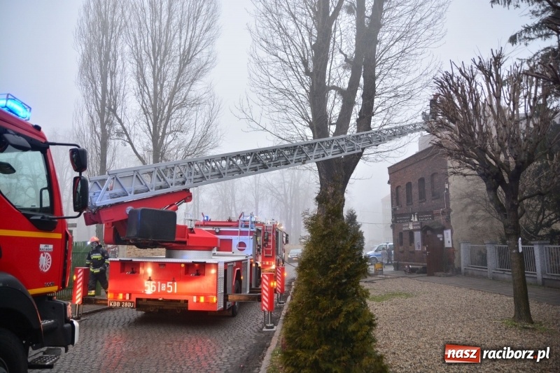 Zdjęcie w galerii na portalu naszraciborz.pl: Pożar na Końcu Świata. Strażacy oszacowali straty i podali przypuszczalną przyczynę pojawienia się ognia wiadomości z regionu