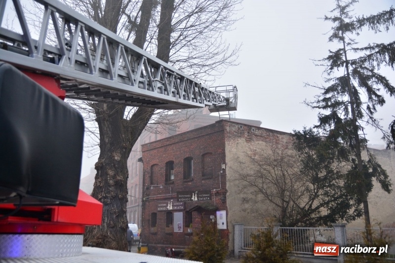 Zdjęcie w galerii na portalu naszraciborz.pl: Pożar na Końcu Świata. Strażacy oszacowali straty i podali przypuszczalną przyczynę pojawienia się ognia wiadomości z regionu