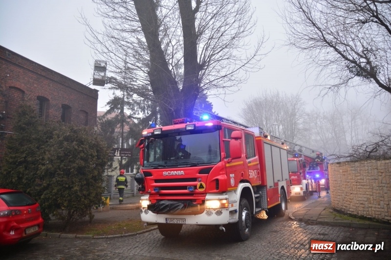 Zdjęcie w galerii na portalu naszraciborz.pl: Pożar na Końcu Świata. Strażacy oszacowali straty i podali przypuszczalną przyczynę pojawienia się ognia wiadomości z regionu