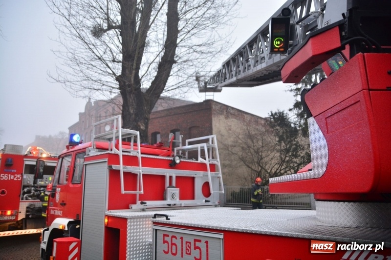 Zdjęcie w galerii na portalu naszraciborz.pl: Pożar na Końcu Świata. Strażacy oszacowali straty i podali przypuszczalną przyczynę pojawienia się ognia wiadomości z regionu
