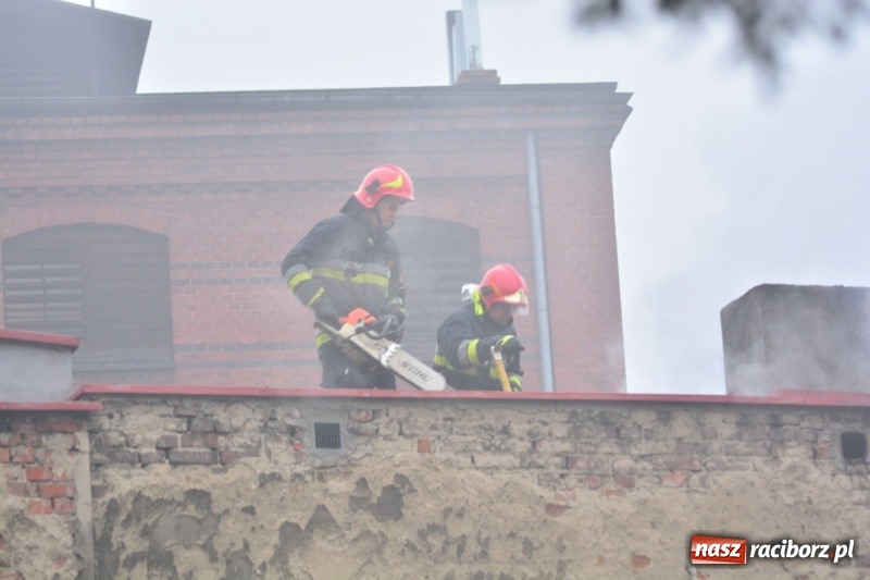 Zdjęcie w galerii na portalu naszraciborz.pl: Pożar na Końcu Świata. Strażacy oszacowali straty i podali przypuszczalną przyczynę pojawienia się ognia wiadomości z regionu