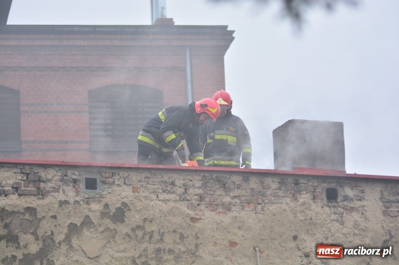 Zdjęcie w galerii na portalu naszraciborz.pl: Pożar na Końcu Świata. Strażacy oszacowali straty i podali przypuszczalną przyczynę pojawienia się ognia wiadomości z regionu