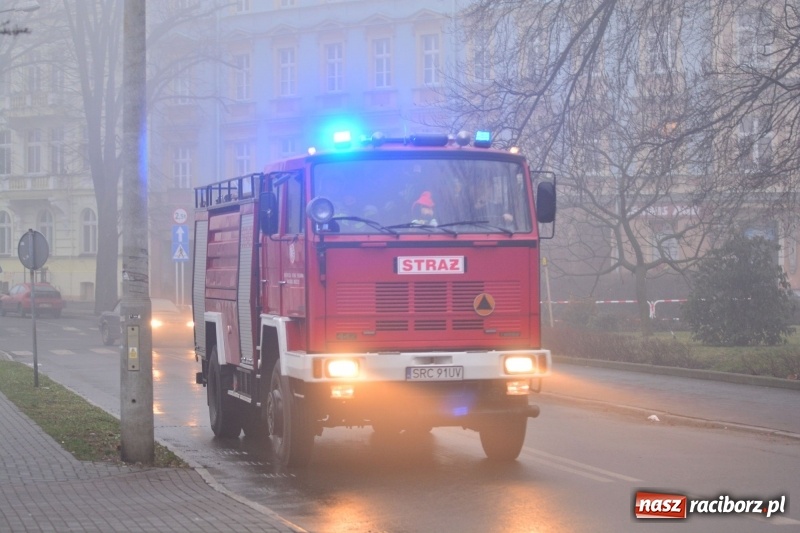 Zdjęcie w galerii na portalu naszraciborz.pl: Pożar na Końcu Świata. Strażacy oszacowali straty i podali przypuszczalną przyczynę pojawienia się ognia wiadomości z regionu