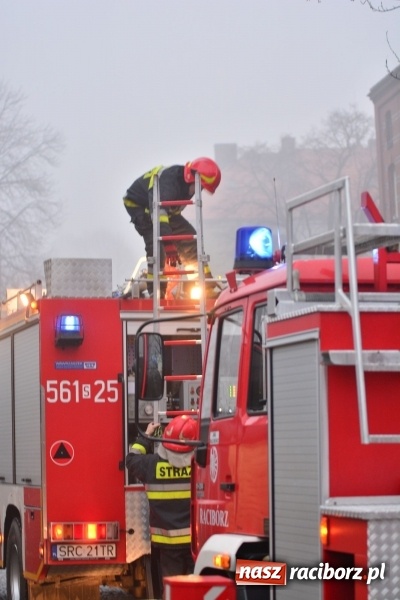 Zdjęcie w galerii na portalu naszraciborz.pl: Pożar na Końcu Świata. Strażacy oszacowali straty i podali przypuszczalną przyczynę pojawienia się ognia wiadomości z regionu