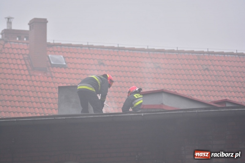 Zdjęcie w galerii na portalu naszraciborz.pl: Pożar na Końcu Świata. Strażacy oszacowali straty i podali przypuszczalną przyczynę pojawienia się ognia wiadomości z regionu