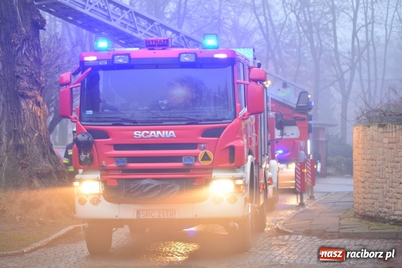 Zdjęcie w galerii na portalu naszraciborz.pl: Pożar na Końcu Świata. Strażacy oszacowali straty i podali przypuszczalną przyczynę pojawienia się ognia wiadomości z regionu